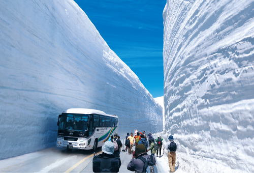 雪の大谷